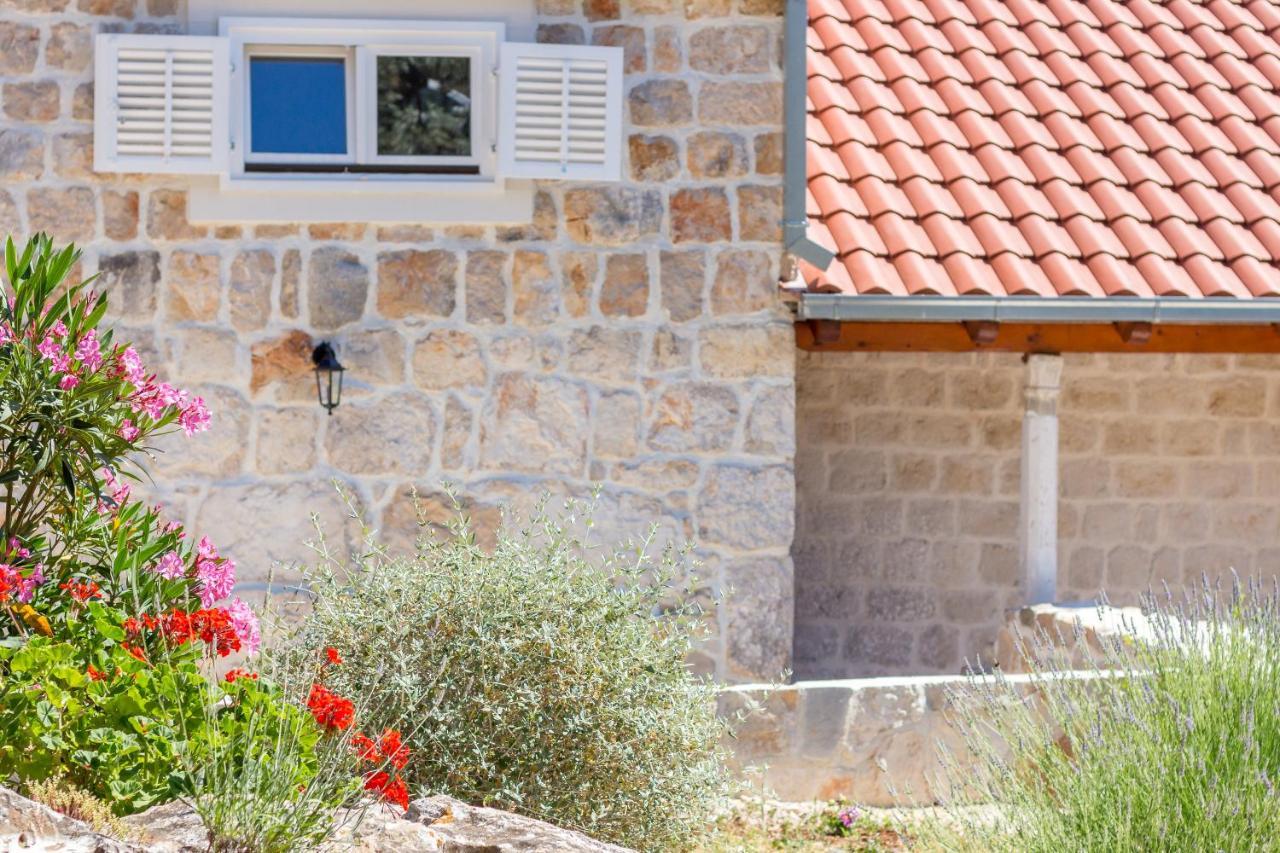 Olive Garden Apartment Ston Kültér fotó