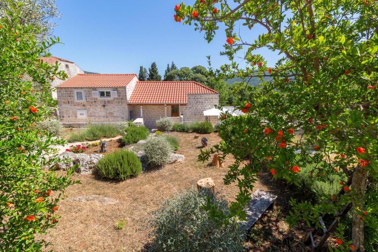 Olive Garden Apartment Ston Kültér fotó